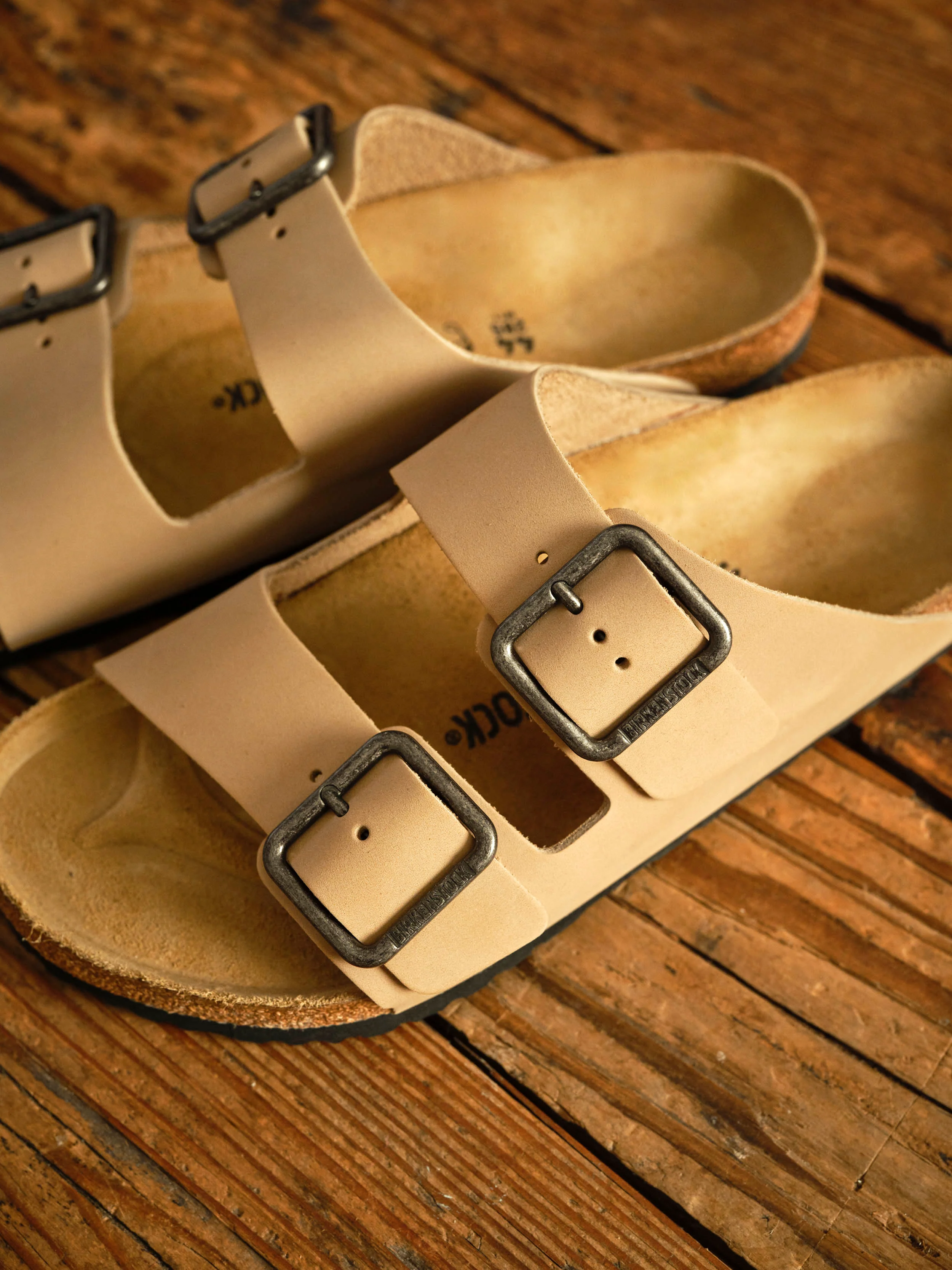 Arizona Wire Buckle - Sandcastle - Image 3