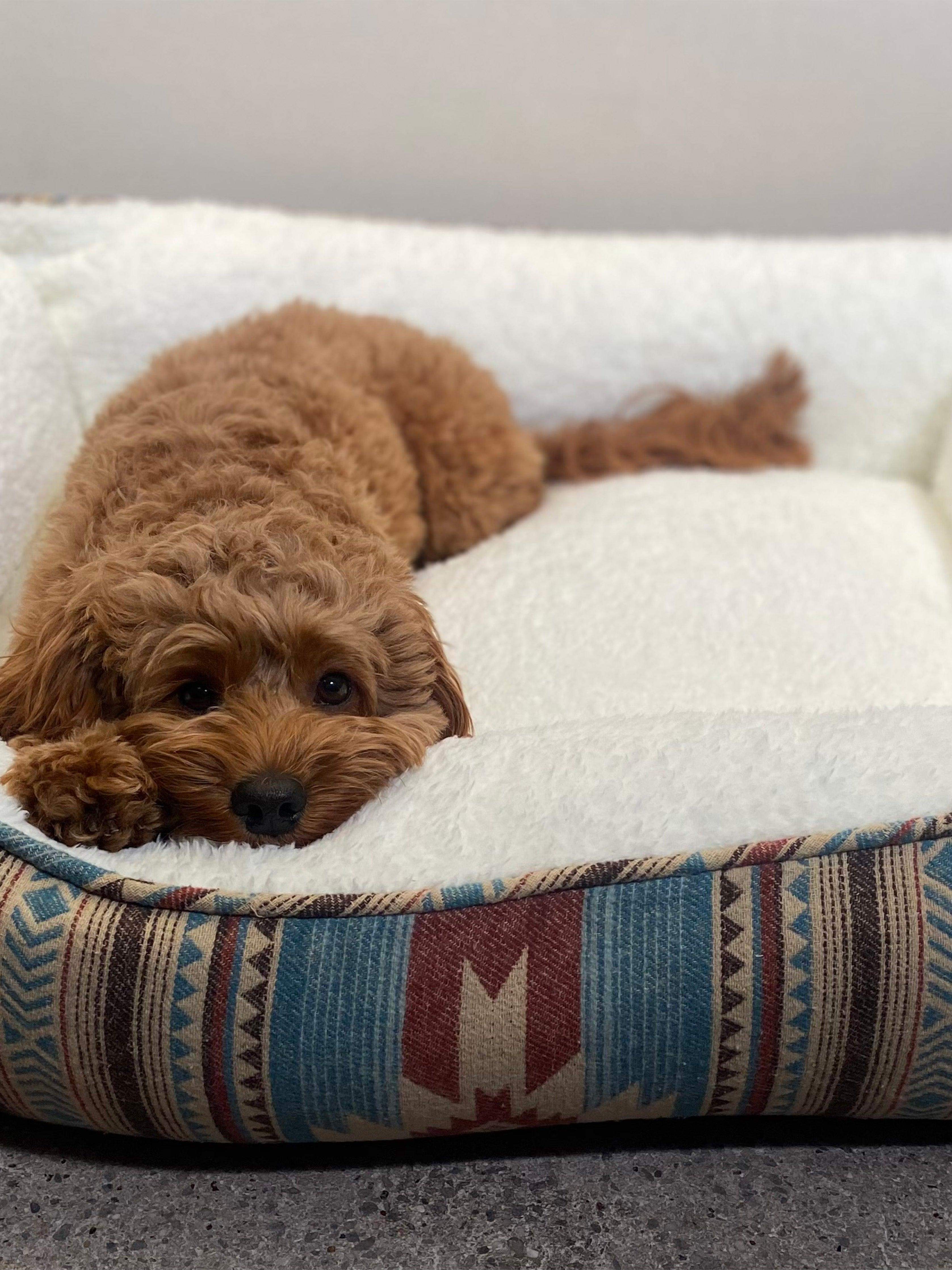 Doug Good Feather Dog Bed (Small) - Nescove - Image 2