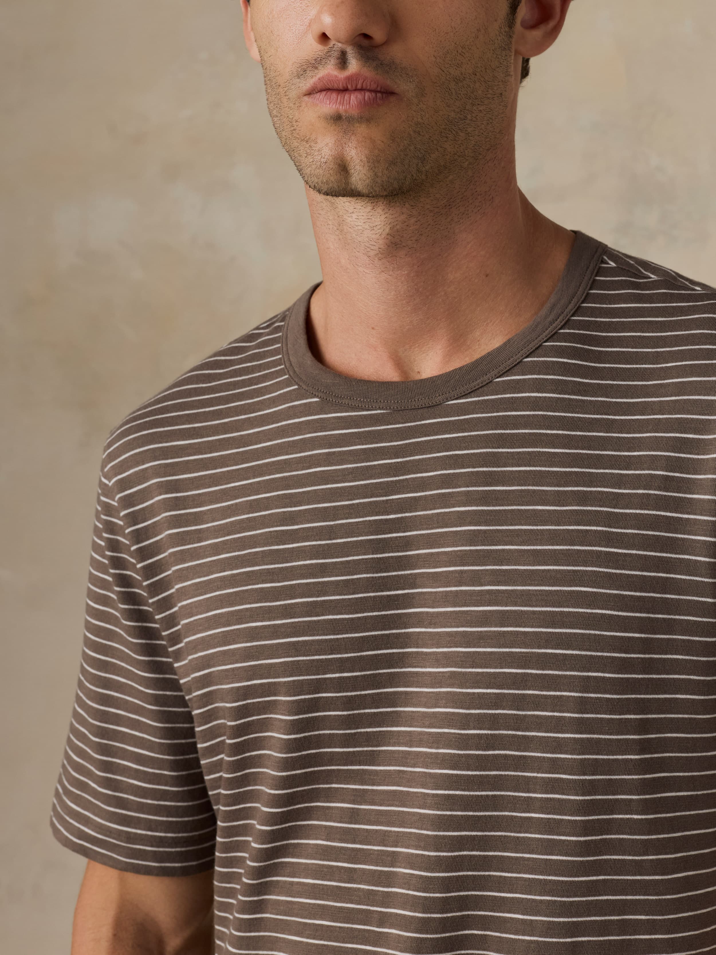 Sunwashed Regenerative Tee - Verona Brown Stripe - Image 2