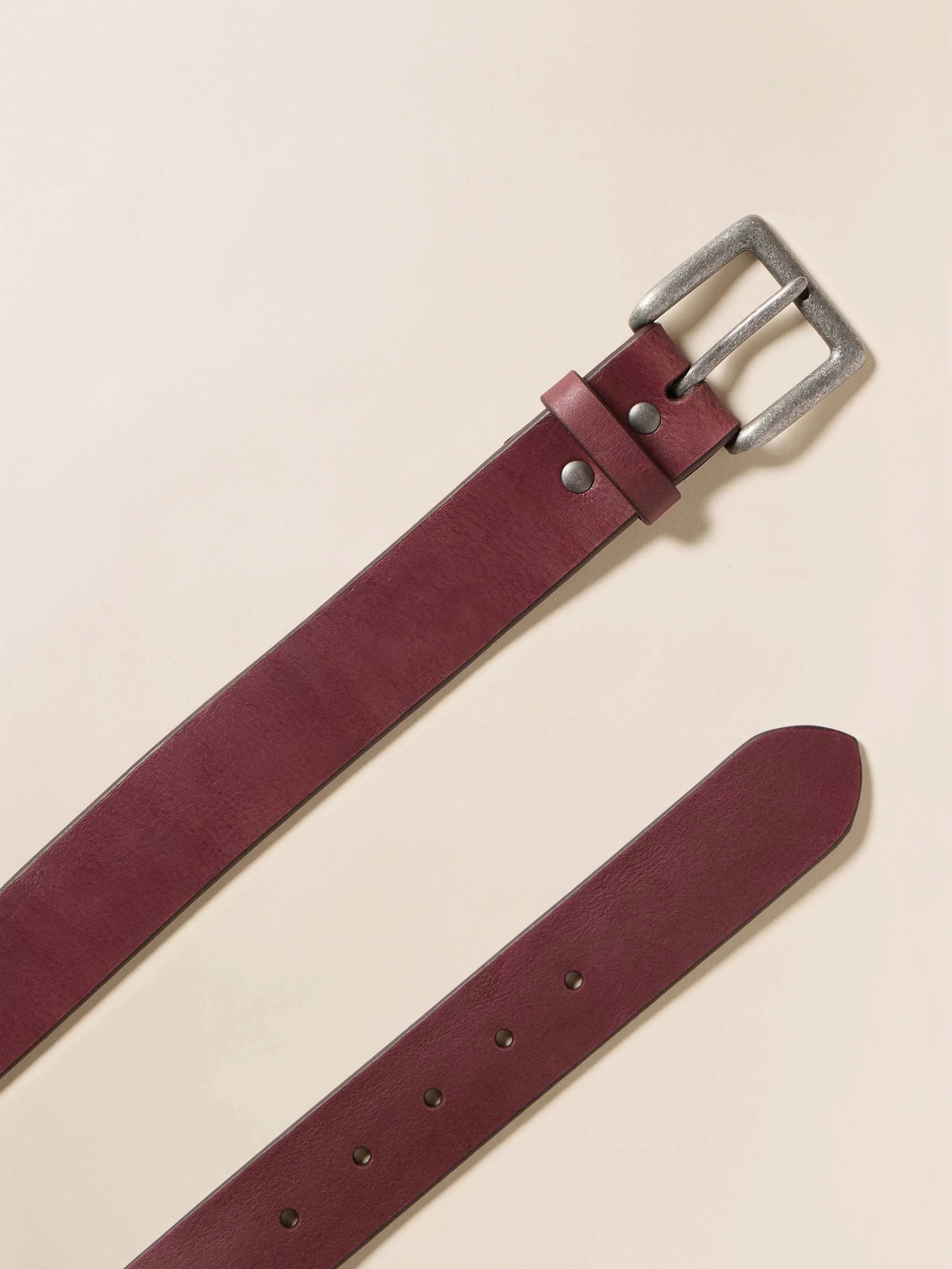 Women's Oversized Belt - Espresso - Image 2